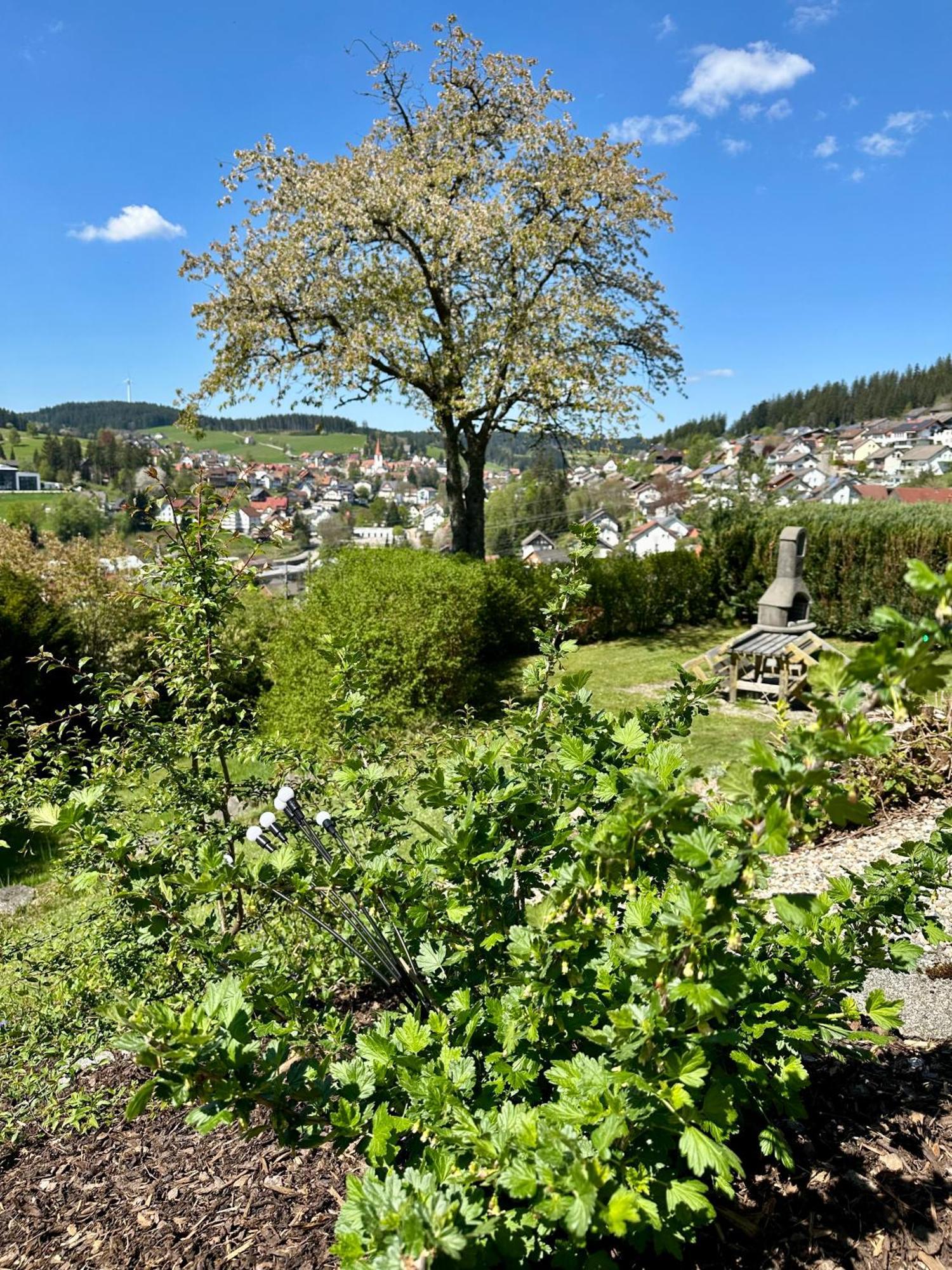 Schonach im Schwarzwald Sonneck Schonach 아파트 외부 사진
